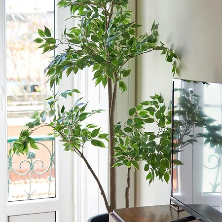 Appartement Elegant Santana Lissabon