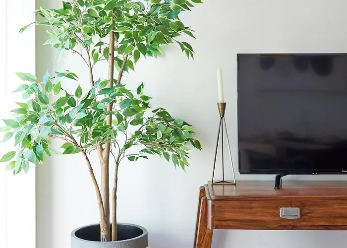 شقة Elegant Santana *