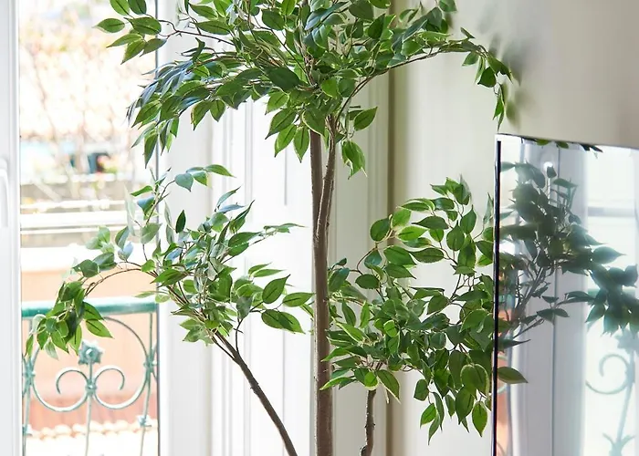 شقة Elegant Santana Lisboa